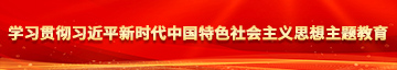 女生被艹了免费小说学习贯彻习近平新时代中国特色社会主义思想主题教育